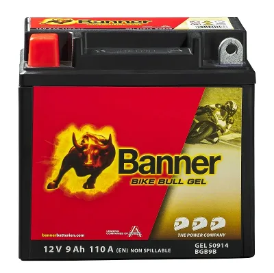 Аккумуляторная батарея Баннер 9 А/ч 12 В (023509140101)