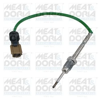 Датчик температуры отработавших газов (ОГ), перед турбиной 12021E Meat&Doria
