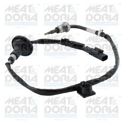  12598 Meat&Doria