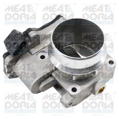 Дроссельная заслонка 161A01670R Nissan/Infiniti