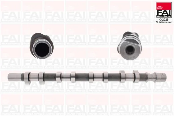 Впускной распредвал C256 FAI