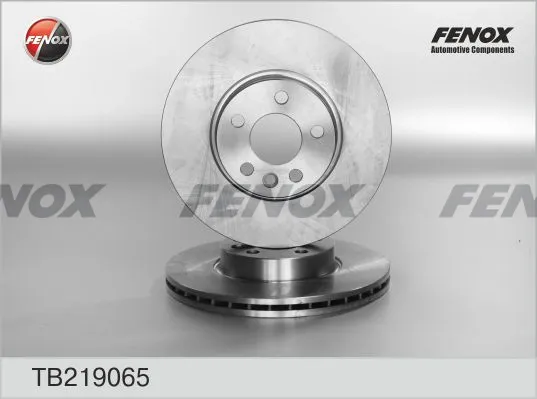 Передние тормозные диски TB219065 Fenox