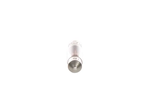 Лампочка 1987302528 Bosch