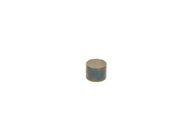  F00N201990 Bosch