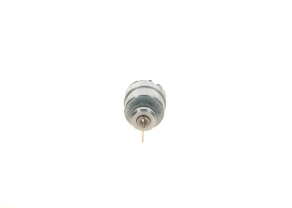 Личинка замка зажигания 0342316002 Bosch