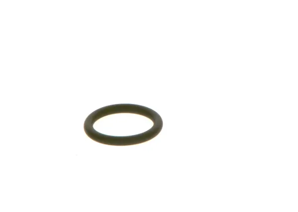  F00RJ01605 Bosch