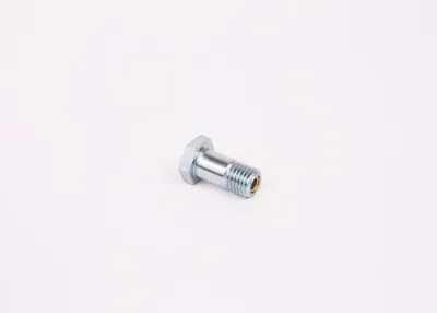 Топливный перепускной клапан (болт банджо) BOSCH 1463456344