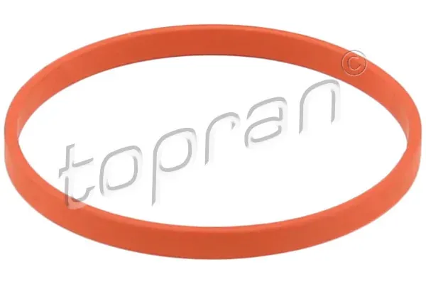 Прокладка дроссельной заслонки 117328 Hans Pries (Topran)