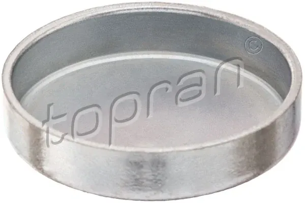 Заглушка ГБЦ 203184 Hans Pries (Topran)