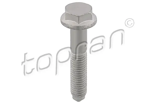 Болт 117613 Hans Pries (Topran)