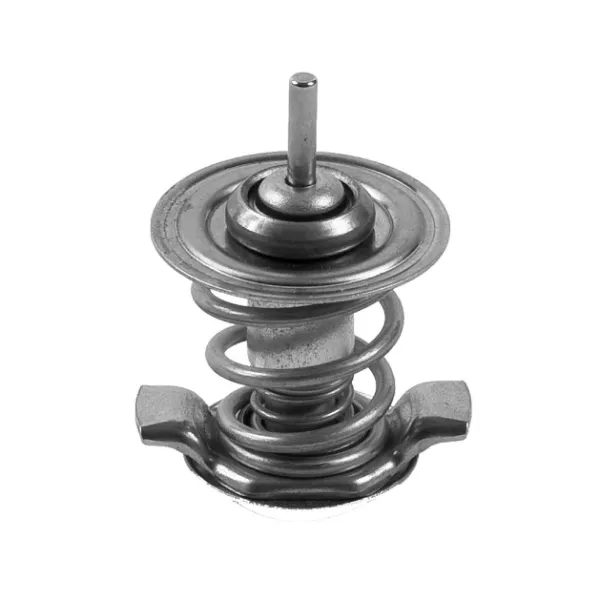 Термостат Audi A4 B6