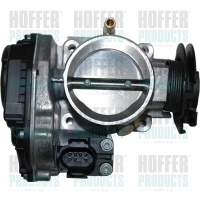 Дроссельная заслонка 7519019 Hoffer