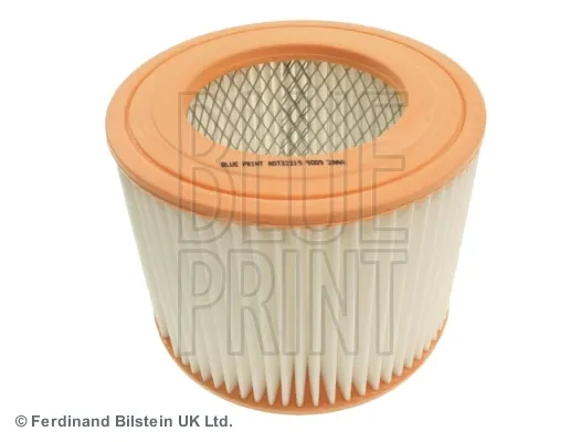 Воздушный фильтр ADT32219 Blue Print