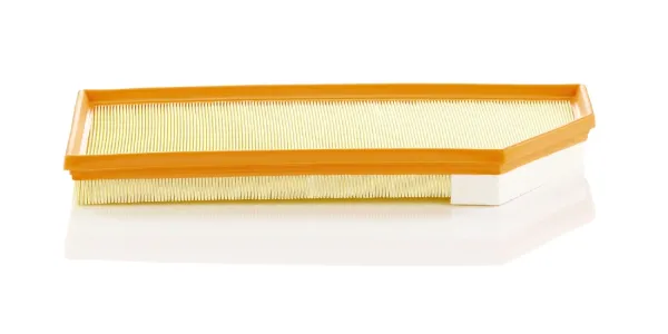 Воздушный фильтр C45004 Mann-Filter