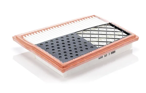 Воздушный фильтр C25004 Mann-Filter