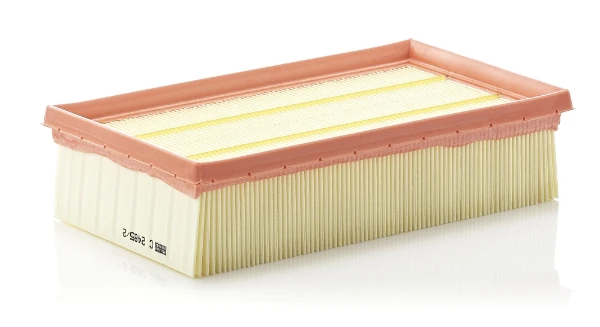 Воздушный фильтр C24852 Mann-Filter