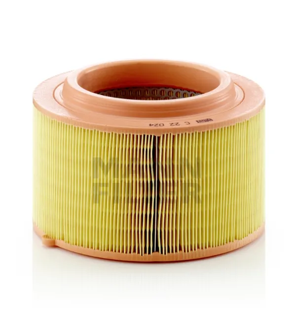 Воздушный фильтр C22024 Mann-Filter