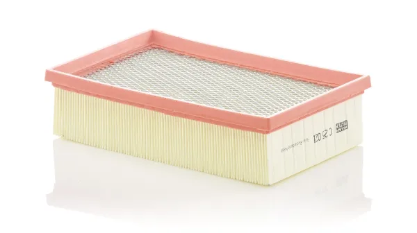 Воздушный фильтр C25021 Mann-Filter