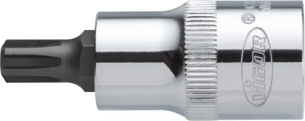  V2204 Vignal