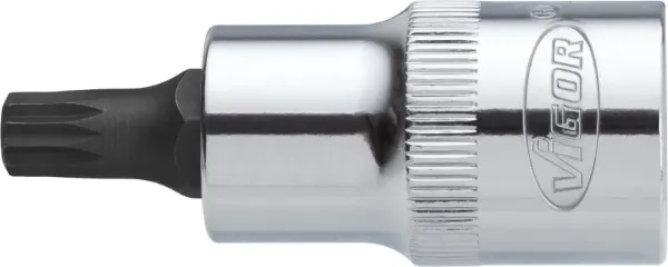  V2100 Vignal