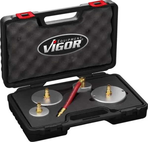 V4381 Vignal