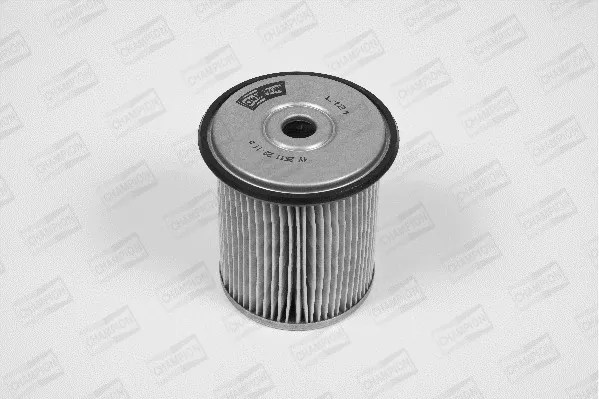 Фильтр топлива на Peugeot 406  8B