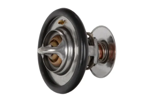 Термостат 28020040212 Continental/Siemens