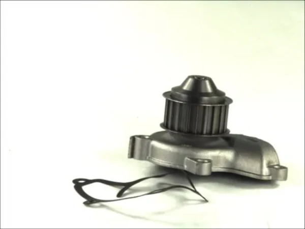 Помпа D11028TT Thermotec