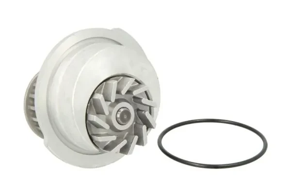 Помпа D1X012TT Thermotec