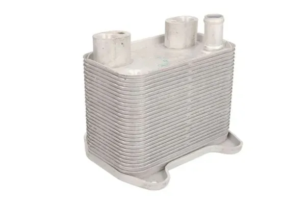 Масляный радиатор D4M010TT Thermotec