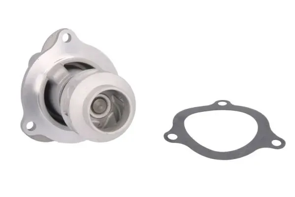 Помпа D1G054TT Thermotec