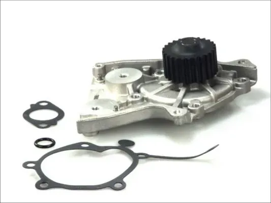 Помпа D10301TT Thermotec