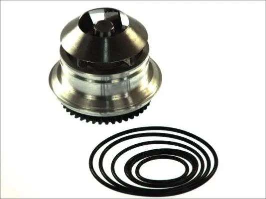 Помпа D1W051TT Thermotec