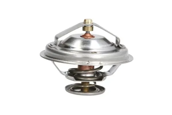 Термостат D2M003TT Thermotec