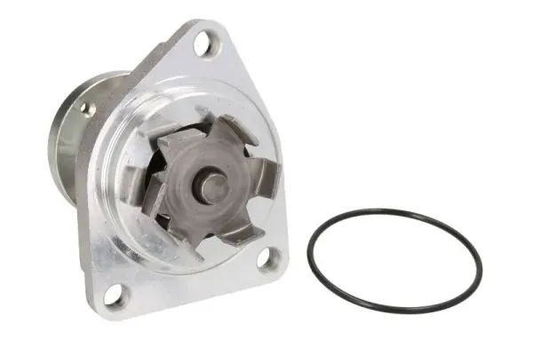 Помпа D1X027TT Thermotec