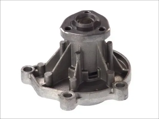 Помпа D1W046TT Thermotec