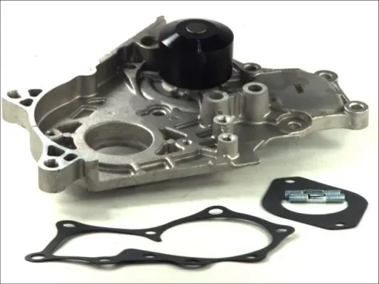 Помпа D12006TT Thermotec