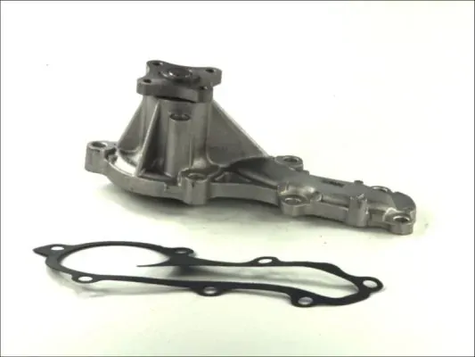 Помпа D11069TT Thermotec