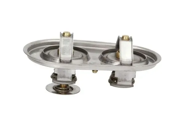Термостат D2SC009TT Thermotec