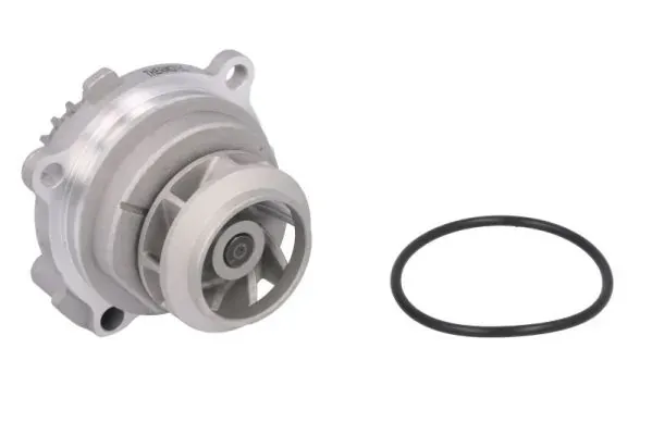 Помпа D1W040TT Thermotec
