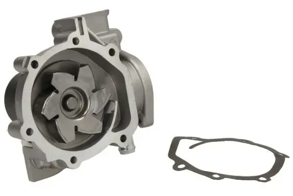Помпа D17007TT Thermotec