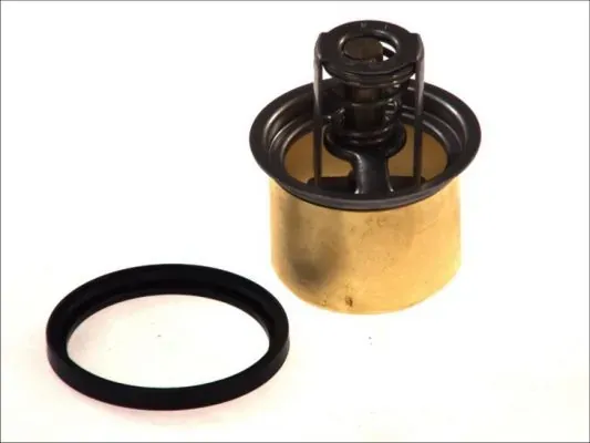 Термостат D2RV001TT Thermotec