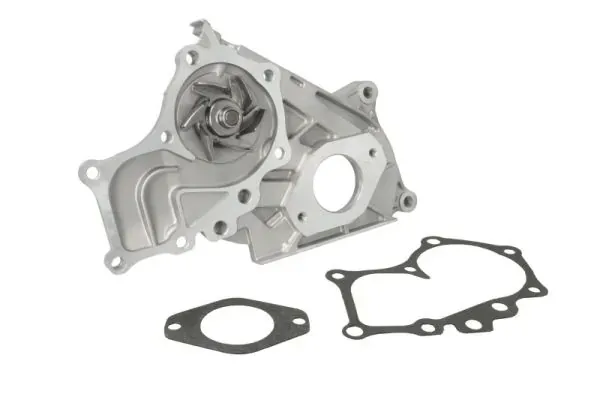 Помпа D12017TT Thermotec