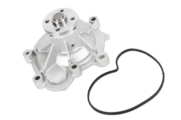 Помпа D1M054TT Thermotec
