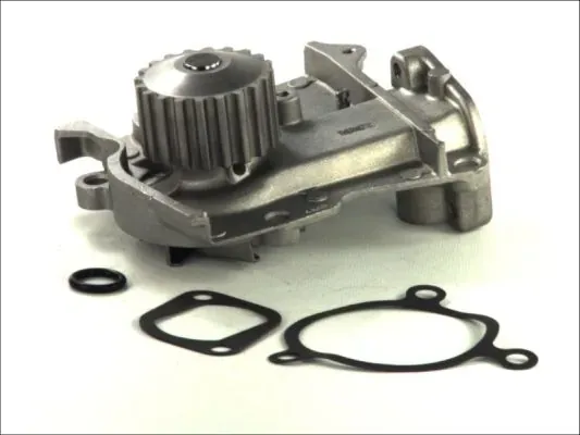 Помпа D13009TT Thermotec