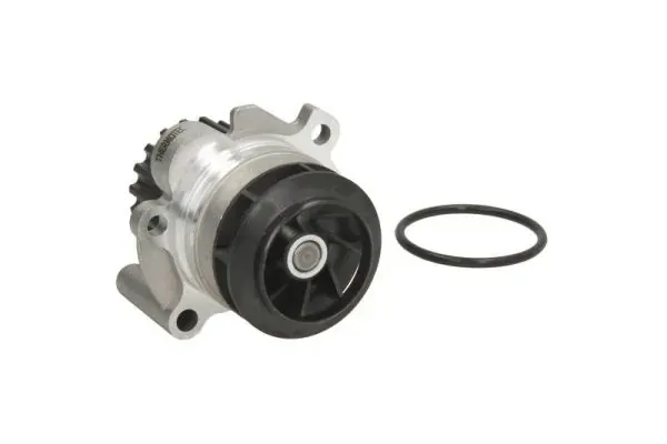 Помпа D1W054TT Thermotec