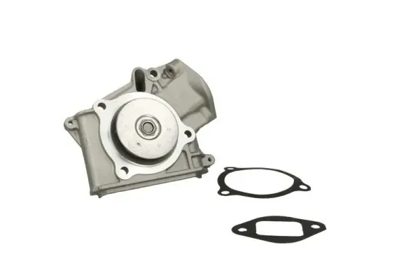 Помпа D10316TT Thermotec