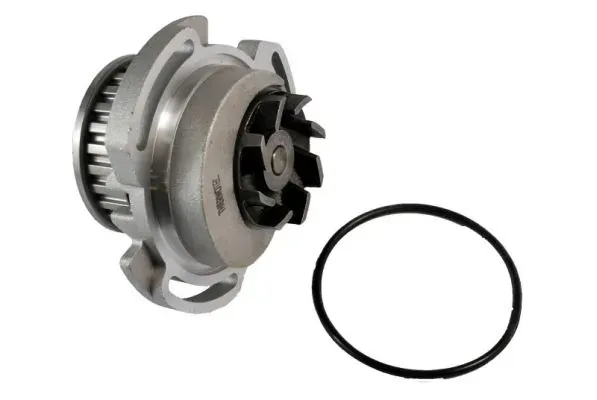 Помпа D1W003TT Thermotec