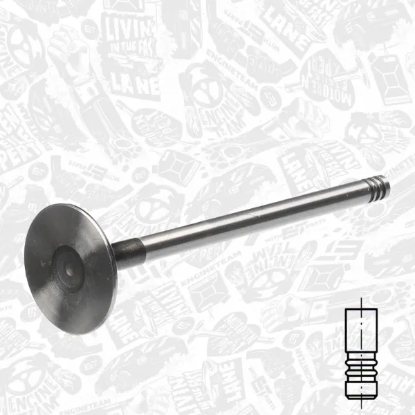 Выхлопной клапан на Renault Clio SYMBOL LU