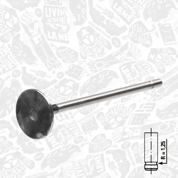 Выхлопной клапан на Renault Clio III BR01, CR01